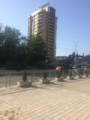 Apartment on Lenina st. 219/35